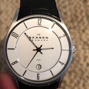 Skagen Denmark Mens Watch